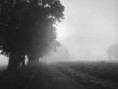 /album/fotogalerij-almen/img-5512-jpg/